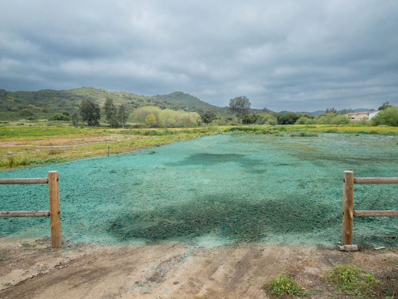 Hydroseed Installation Service