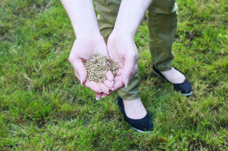 Soil Testing and Adjustment