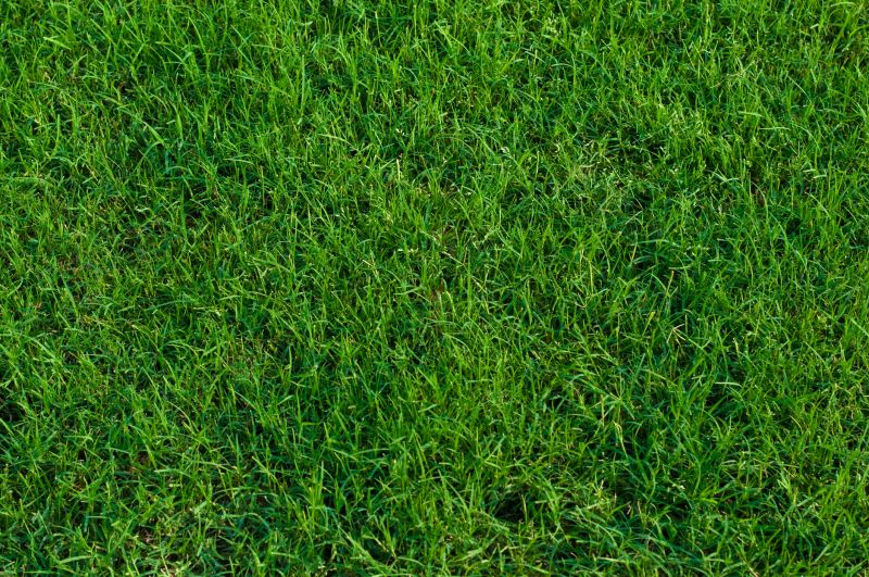 Bermuda Grass Installation