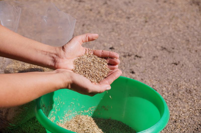 Grass Seeding Service in Allentown