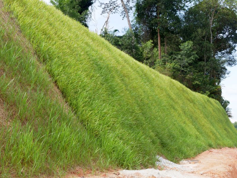 Slope Stabilization