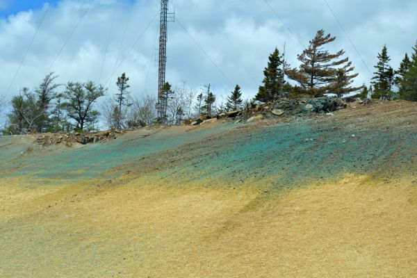 Hill Hydroseeding in Allentown