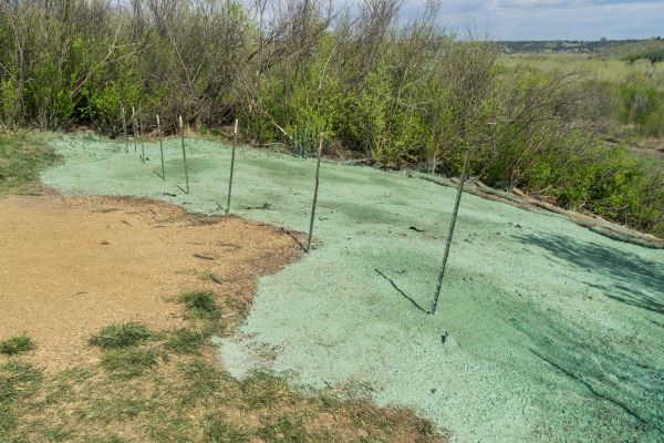 Lawn Hydroseeding in Allentown