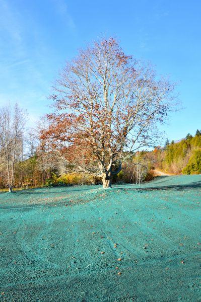 Landscape Hydroseeding